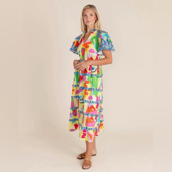 Alden Adair Dresses & Skirts - Alden Adair Yasmine dress in matisse print size XS